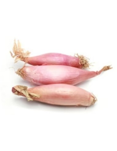 ECHALOTTE LE KILO (ORIG.FRANCE)