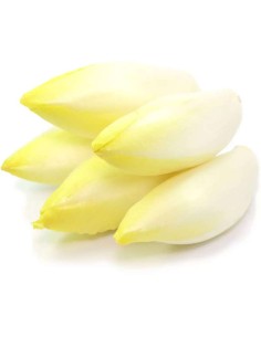 ENDIVE CELLO 1KG LE SACHET (ORIG.FRANCE)