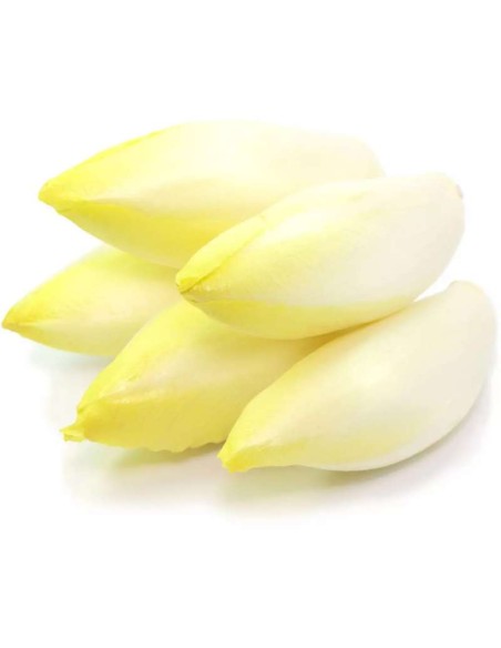 ENDIVE CELLO 1KG LE SACHET (ORIG.FRANCE)