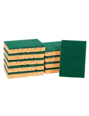 EPONGE VERT PROWIPE 10P 220505