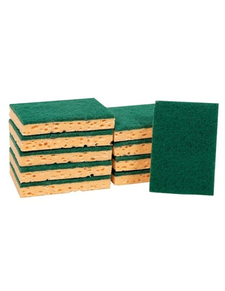 EPONGE VERT PROWIPE 10P 220505