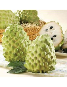 POMME CANNELLE- MANG CAU DAI LA BARQUETTE 500G (ORIG.THAILAND)