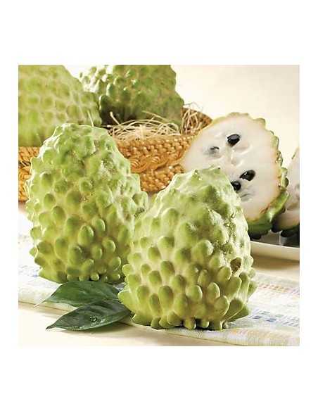 POMME CANNELLE- MANG CAU DAI LA BARQUETTE 500G (ORIG.THAILAND)