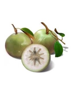 POMME AU LAIT-VU SUA LA BARQUETTE (ORIG.LAO) 2