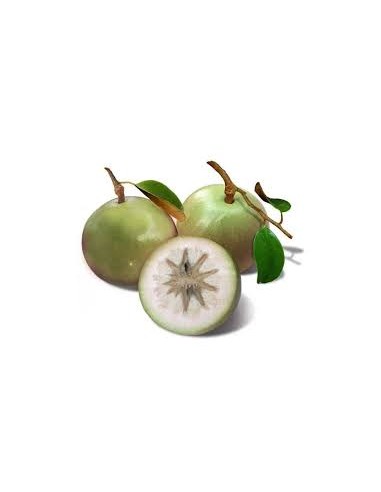 POMME AU LAIT-VU SUA LA BARQUETTE (ORIG.LAO)