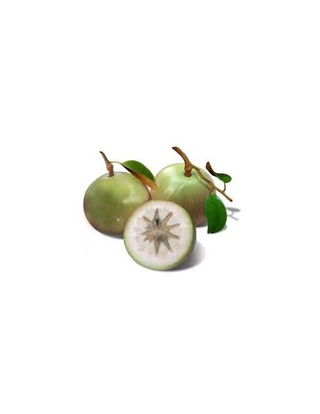 POMME AU LAIT-VU SUA LA BARQUETTE (ORIG.LAO)