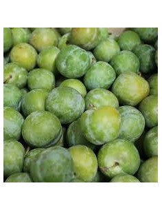 PRUNE VERT 1KG