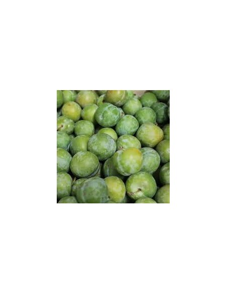 PRUNE VERT 1KG
