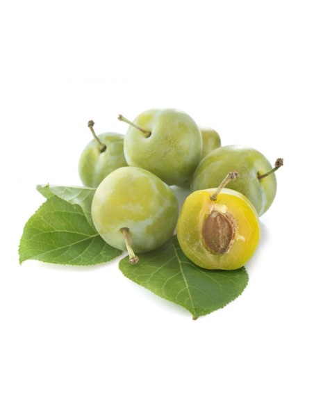 PRUNE VERT 1KG