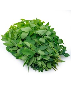 RAU NGOT LE SACHET 200G (ORIG.LAOS)