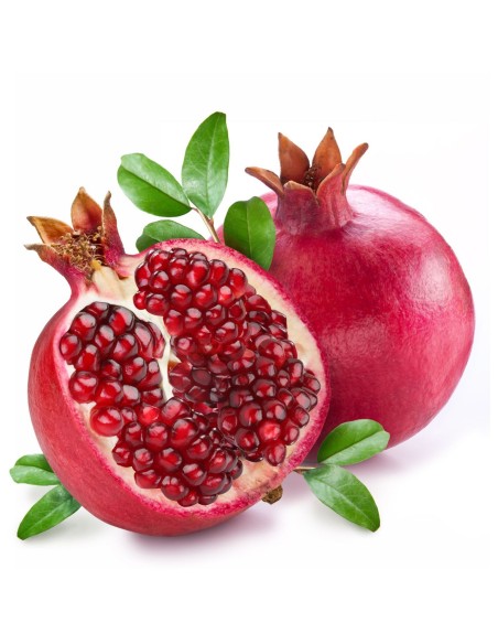 GRENADE GRAND 1 PIECE