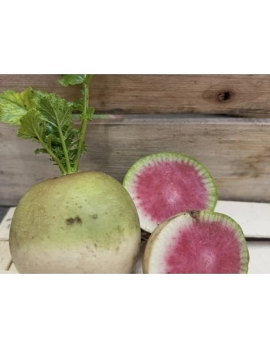 RADIS ROUGE RED MEAT 1KG