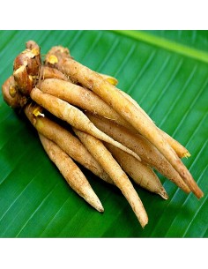 RACINE KACHAI LE SACHET 100G (ORIG.LAOS)