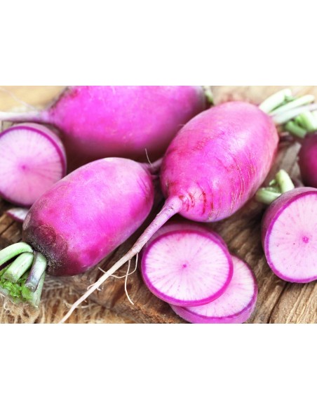 RADIS BLUE MEAT CAT1 LE KILO (ORIG.ESPAGNE)