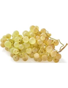 RAISIN CHASSELAS 1KG