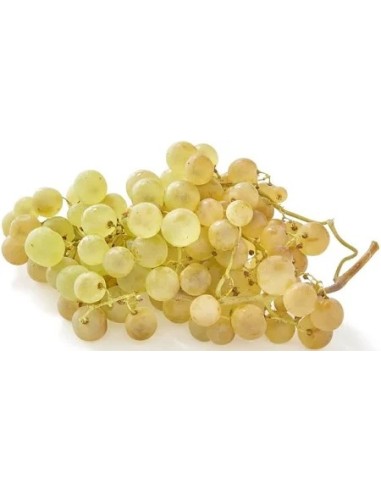 RAISIN CHASSELAS 1KG