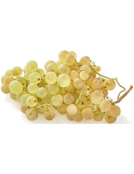 RAISIN CHASSELAS 1KG
