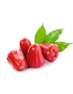 ROSE APPLE POMME JAVA-MAN DO 500G (ORIGINE VIETNAM)