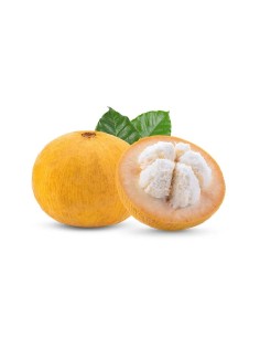 SANTOL 1 PIECE ( ORIGINAL THAILAND)