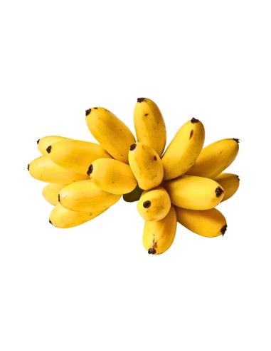 BANANE POMME COOP LE KILO (ORIG.MARTINIQUE)