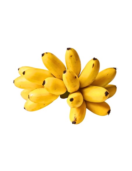 BANANE POMME COOP LE KILO (ORIG.MARTINIQUE)