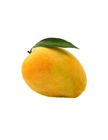 MANGUE SAUVAGE REPUPIECE LA PIECE