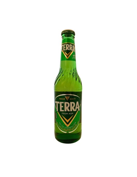 BIERE TERRA 4,6° 33CL
