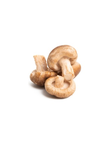 CHAMPIGNON SHIITAKE FRAIS 125G(ORIG.CHINE)