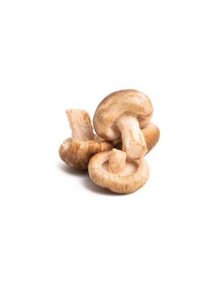 CHAMPIGNON SHIITAKE FRAIS 125G(ORIG.CHINE)