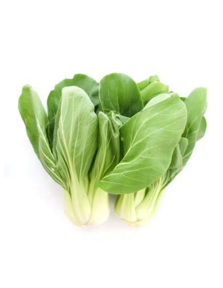 PAK CHOI SHANGHAI 500G (ORIG.ESPAGNE)