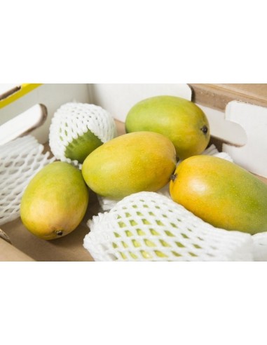 MANGUE HOA LOC LE KILO (ORIG.VIETNAM)