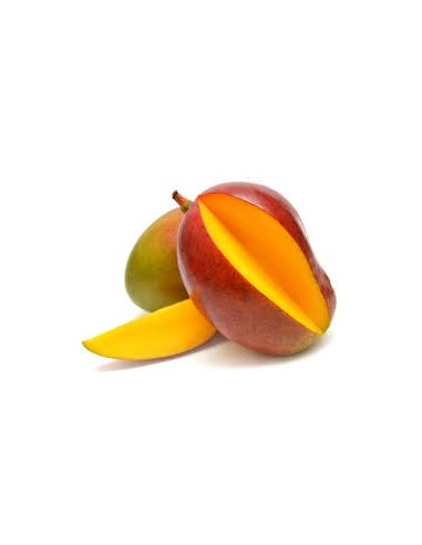 MANGUE OSTEEN LA PIECE (ORIG.ESPAGNE)