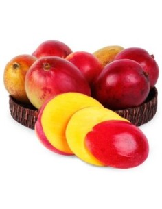 MANGUE TOMMY LA PIECE (ORIG.BRESIL)