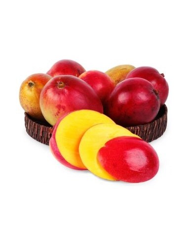 MANGUE TOMMY LA PIECE (ORIG.BRESIL)