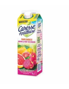 NECTAR PAMPLEMOUSE GOYAYE FRUIT DRAGON CARESSE 1L
