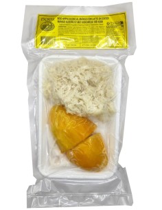 DESSERT RIZ GLUANT MANGUE COCO EXOSTAR 250G