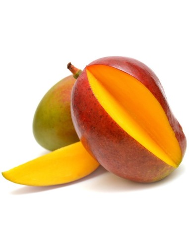 MANGUE KEITT LA PIECE (ORIG.BRESIL)