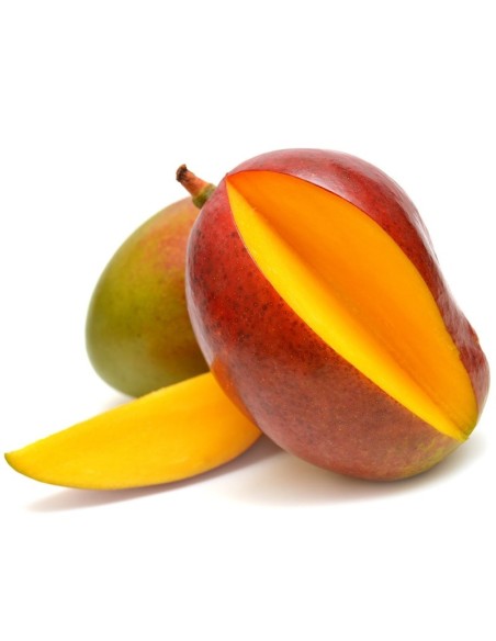 MANGUE KEITT LA PIECE (ORIG.BRESIL)