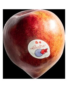 PRUNE LOVITA LE KILO (ORIG.FRANCE)