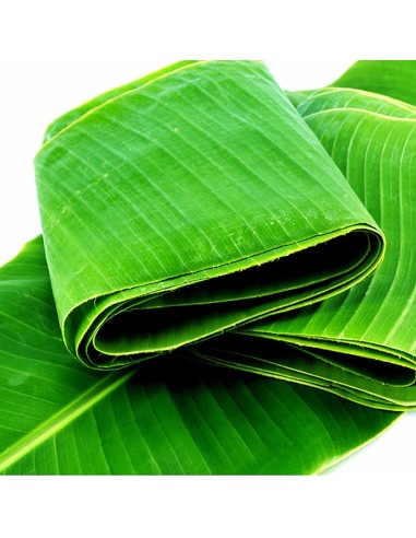 FEUILLE BANANIER CONGELE EXOSTAR 1KG