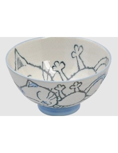 BOL RIZ CHAT BLUE JAPON 300ML