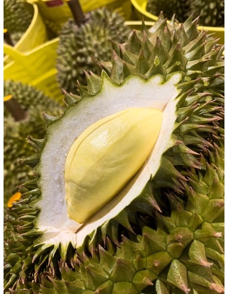 DURIAN BOITE FRAIS MONTHONG LE KILO (ORIG.THAILANDE)