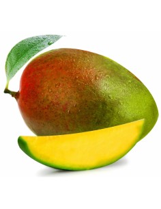 MANGUE SAUVAGE LA PIECE (ORIG.BRESIL)