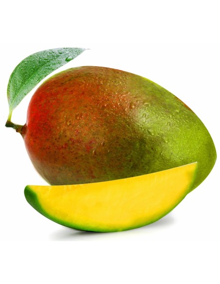 MANGUE SAUVAGE LA PIECE (ORIG.BRESIL)