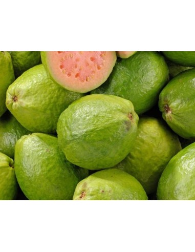 GOYAVE FRAIS LE KILO (ORIG.MARTINIQUE)