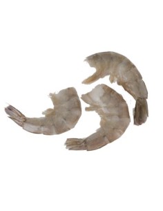 QUEUE CREV 21/25 ROYAL 1.4KG