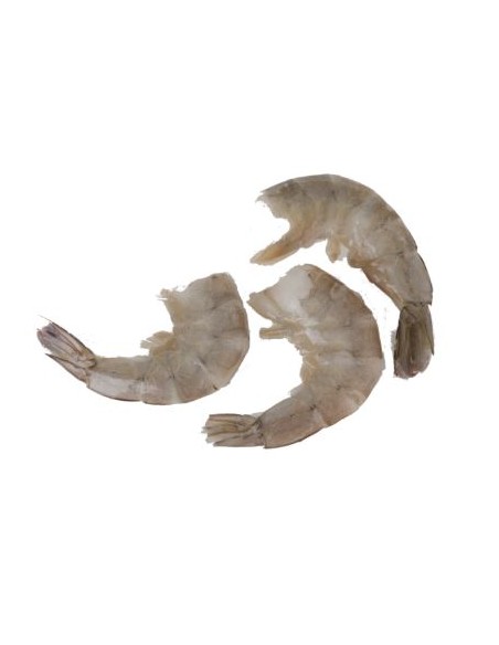 QUEUE CREV 21/25 ROYAL 1.4KG