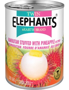 RAMBUTAN ANANAS SIROP TWIN ELEPHANTS 565G*24/CT