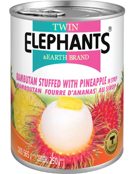 RAMBUTAN ANANAS SIROP TWIN ELEPHANTS 565G*24/CT