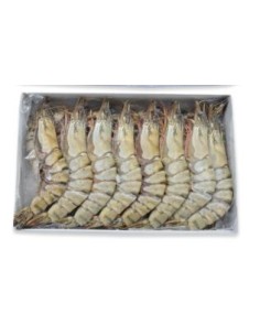 GAMBAS ENTIER 13/15 M.D.MONDE 750G BLACK TIGER